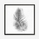 Shop Feather (Square) Art Print a painted bird themed wall art print from The Print Emporium wall artwork collection - Buy Australian made fine art painting style poster and framed prints for the home and your interior decor room, TPE-185-AP