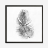 Shop Feather (Square) Art Print a painted bird themed wall art print from The Print Emporium wall artwork collection - Buy Australian made fine art painting style poster and framed prints for the home and your interior decor room, TPE-185-AP