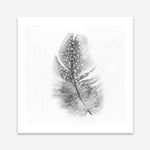 Shop Feather (Square) Art Print a painted bird themed wall art print from The Print Emporium wall artwork collection - Buy Australian made fine art painting style poster and framed prints for the home and your interior decor room, TPE-185-AP