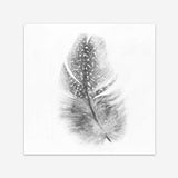 Shop Feather (Square) Art Print a painted bird themed wall art print from The Print Emporium wall artwork collection - Buy Australian made fine art painting style poster and framed prints for the home and your interior decor room, TPE-185-AP