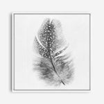 Shop Feather (Square) Canvas Print a painted bird themed framed canvas wall art print from The Print Emporium artwork collection - Buy Australian made fine art painting style stretched canvas prints for the home and your interior decor space, TPE-185-CA-40X40-NF