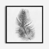 Shop Feather (Square) Canvas Print a painted bird themed framed canvas wall art print from The Print Emporium artwork collection - Buy Australian made fine art painting style stretched canvas prints for the home and your interior decor space, TPE-185-CA-40X40-NF