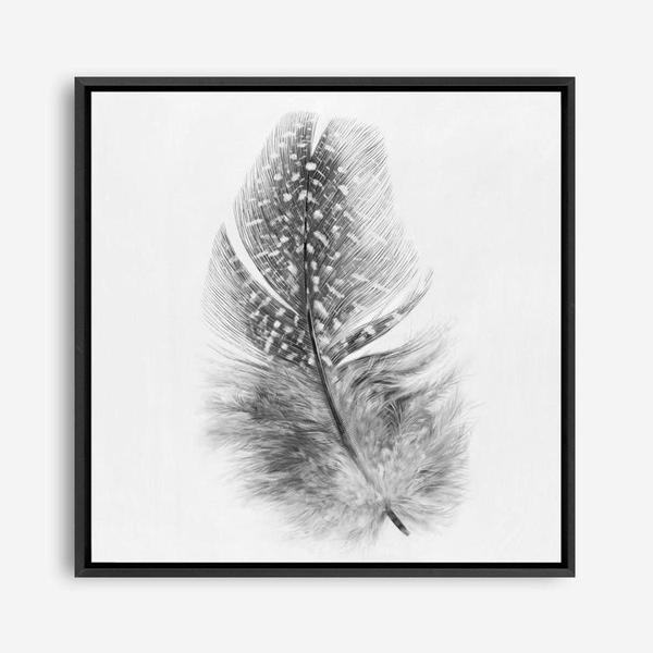 Shop Feather (Square) Canvas Print a painted bird themed framed canvas wall art print from The Print Emporium artwork collection - Buy Australian made fine art painting style stretched canvas prints for the home and your interior decor space, TPE-185-CA-40X40-NF