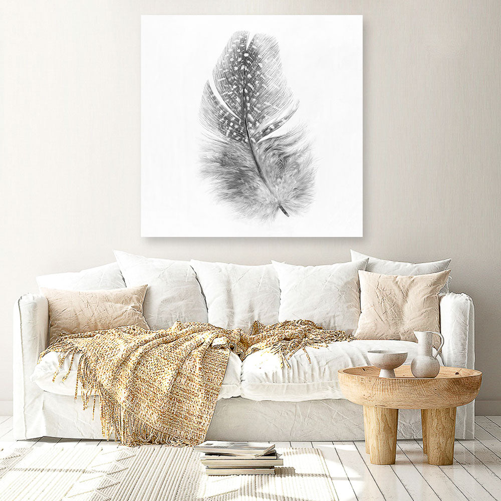 Shop Feather (Square) Canvas Print a painted bird themed framed canvas wall art print from The Print Emporium artwork collection - Buy Australian made fine art painting style stretched canvas prints for the home and your interior decor space, TPE-185-CA-40X40-NF