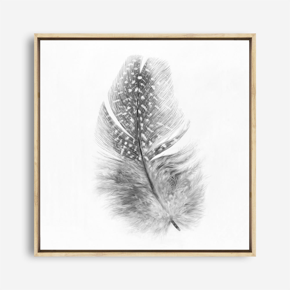 Shop Feather (Square) Canvas Print a painted bird themed framed canvas wall art print from The Print Emporium artwork collection - Buy Australian made fine art painting style stretched canvas prints for the home and your interior decor space, TPE-185-CA-40X40-NF