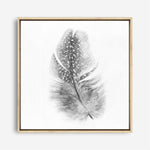 Shop Feather (Square) Canvas Print a painted bird themed framed canvas wall art print from The Print Emporium artwork collection - Buy Australian made fine art painting style stretched canvas prints for the home and your interior decor space, TPE-185-CA-40X40-NF