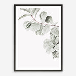 Shop Fiddle-Leaf Fig II Photo Art Print a floral themed photography wall art print from The Print Emporium wall artwork collection - Buy Australian made fine art poster and framed prints for the home and your interior decor room, TPE-596-AP
