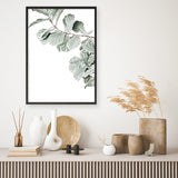 Shop Fiddle-Leaf Fig Photo Art Print a floral themed photography wall art print from The Print Emporium wall artwork collection - Buy Australian made fine art poster and framed prints for the home and your interior decor room, TPE-523-AP