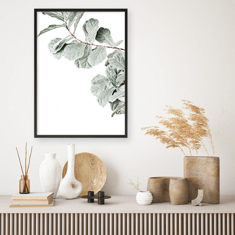 Buy Fiddle-Leaf Fig Photo Art Print | The Print Emporium®