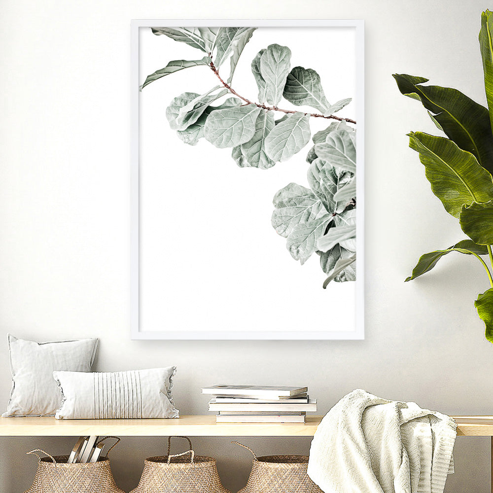 Shop Fiddle-Leaf Fig Photo Art Print a floral themed photography wall art print from The Print Emporium wall artwork collection - Buy Australian made fine art poster and framed prints for the home and your interior decor room, TPE-523-AP
