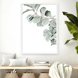 Shop Fiddle-Leaf Fig Photo Art Print a floral themed photography wall art print from The Print Emporium wall artwork collection - Buy Australian made fine art poster and framed prints for the home and your interior decor room, TPE-523-AP