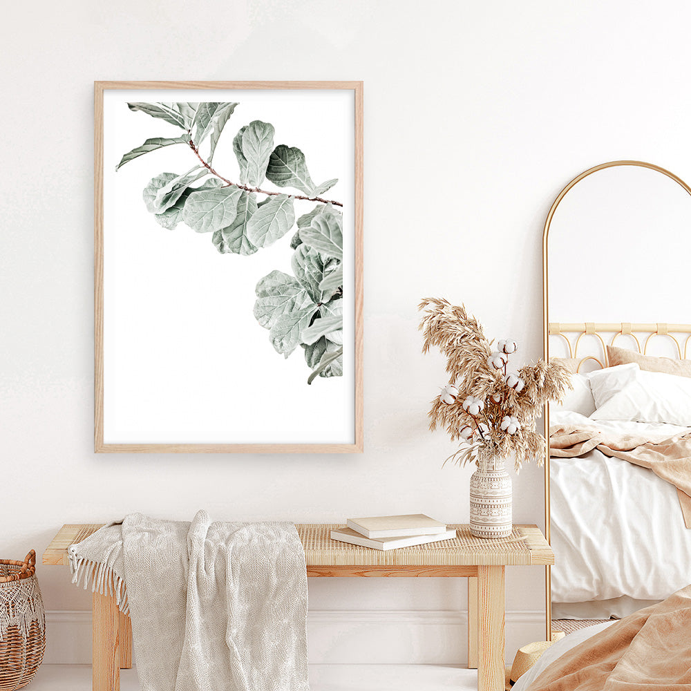 Shop Fiddle-Leaf Fig Photo Art Print a floral themed photography wall art print from The Print Emporium wall artwork collection - Buy Australian made fine art poster and framed prints for the home and your interior decor room, TPE-523-AP
