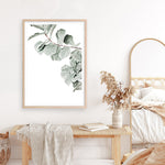 Shop Fiddle-Leaf Fig Photo Art Print a floral themed photography wall art print from The Print Emporium wall artwork collection - Buy Australian made fine art poster and framed prints for the home and your interior decor room, TPE-523-AP