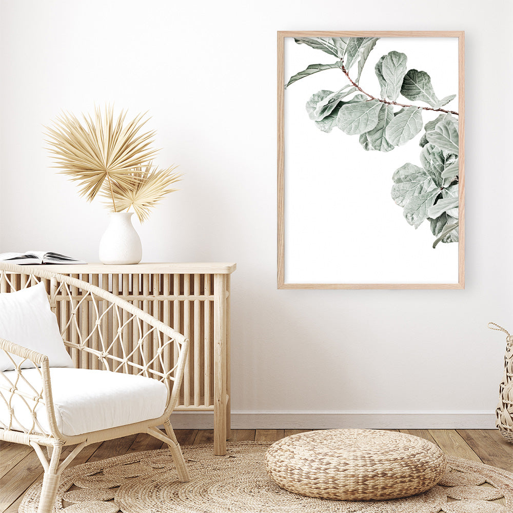 Shop Fiddle-Leaf Fig Photo Art Print a floral themed photography wall art print from The Print Emporium wall artwork collection - Buy Australian made fine art poster and framed prints for the home and your interior decor room, TPE-523-AP