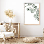 Shop Fiddle-Leaf Fig Photo Art Print a floral themed photography wall art print from The Print Emporium wall artwork collection - Buy Australian made fine art poster and framed prints for the home and your interior decor room, TPE-523-AP