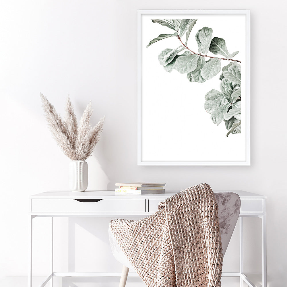 Shop Fiddle-Leaf Fig Photo Art Print a floral themed photography wall art print from The Print Emporium wall artwork collection - Buy Australian made fine art poster and framed prints for the home and your interior decor room, TPE-523-AP