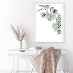 Shop Fiddle-Leaf Fig Photo Art Print a floral themed photography wall art print from The Print Emporium wall artwork collection - Buy Australian made fine art poster and framed prints for the home and your interior decor room, TPE-523-AP