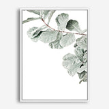 Shop Fiddle-Leaf Fig Photo Canvas Print a floral themed photography framed stretched canvas print from The Print Emporium wall artwork collection - Buy Australian made prints for the home and your interior decor space, TPE-523-CA-35X46-NF