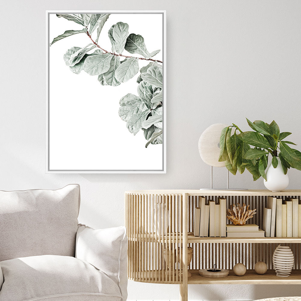 Shop Fiddle-Leaf Fig Photo Canvas Print a floral themed photography framed stretched canvas print from The Print Emporium wall artwork collection - Buy Australian made prints for the home and your interior decor space, TPE-523-CA-35X46-NF