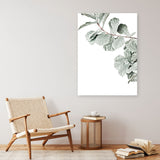 Shop Fiddle-Leaf Fig Photo Canvas Print a floral themed photography framed stretched canvas print from The Print Emporium wall artwork collection - Buy Australian made prints for the home and your interior decor space, TPE-523-CA-35X46-NF