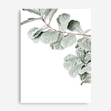 Shop Fiddle-Leaf Fig Photo Canvas Print a floral themed photography framed stretched canvas print from The Print Emporium wall artwork collection - Buy Australian made prints for the home and your interior decor space, TPE-523-CA-35X46-NF