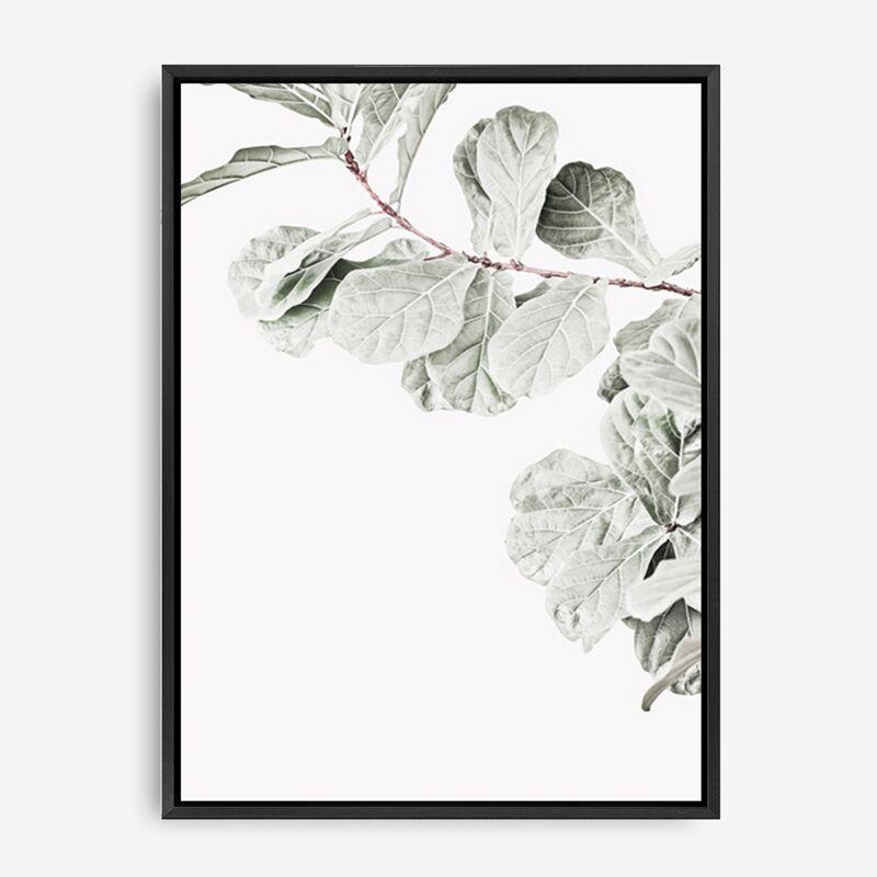 Shop Fiddle Leaf Fig Photo II Photo Canvas Print a floral themed photography framed stretched canvas print from The Print Emporium wall artwork collection - Buy Australian made prints for the home and your interior decor space, TPE-596-CA-35X46-NF