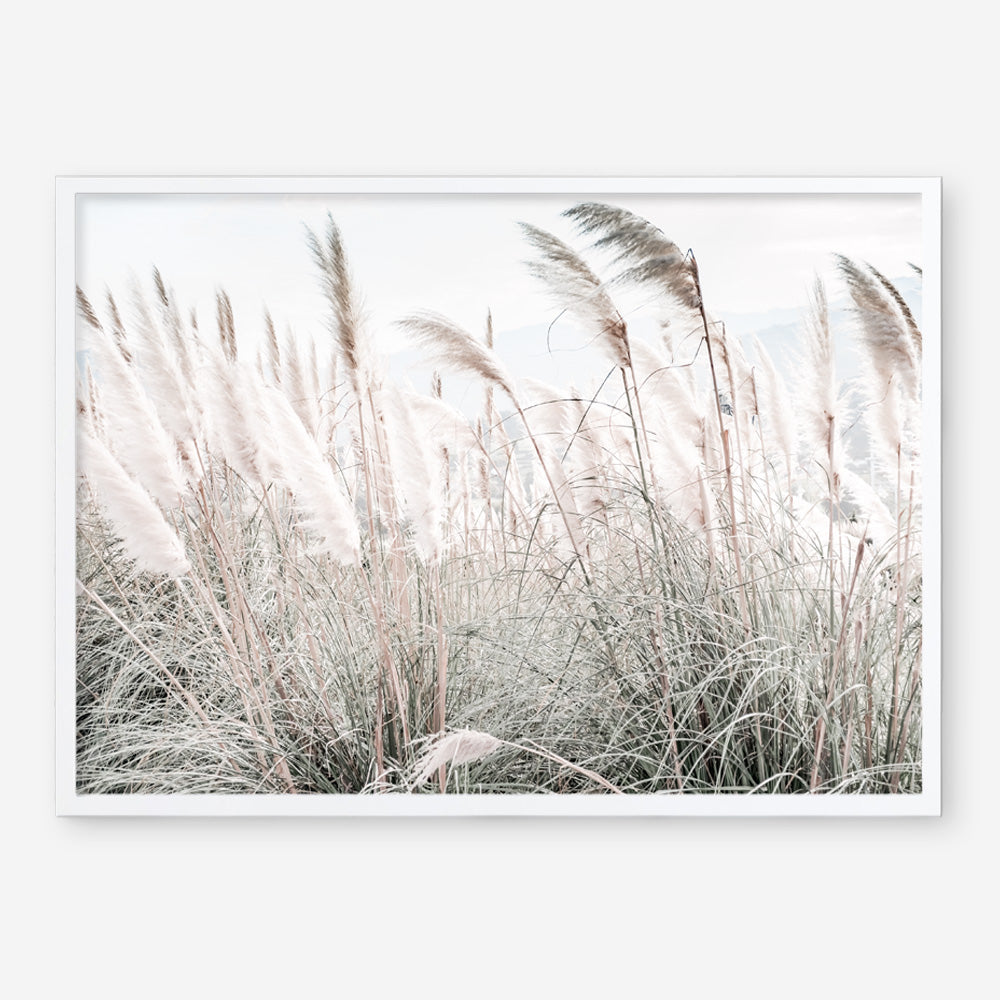 Shop Field of Pampas Grass Photo Art Print a coastal themed photography wall art print from The Print Emporium wall artwork collection - Buy Australian made fine art poster and framed prints for the home and your interior decor, TPE-912-AP