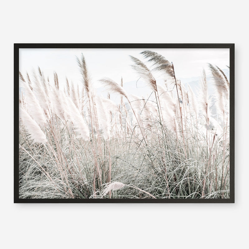 Shop Field of Pampas Grass Photo Art Print a coastal themed photography wall art print from The Print Emporium wall artwork collection - Buy Australian made fine art poster and framed prints for the home and your interior decor, TPE-912-AP