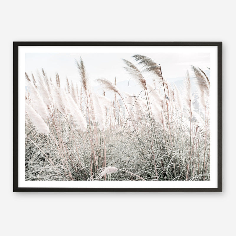 Shop Field of Pampas Grass Photo Art Print a coastal themed photography wall art print from The Print Emporium wall artwork collection - Buy Australian made fine art poster and framed prints for the home and your interior decor, TPE-912-AP