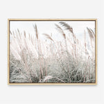 Shop Field of Pampas Grass Photo Canvas Print a coastal themed photography framed stretched canvas print from The Print Emporium wall artwork collection - Buy Australian made prints for the home and your interior decor space, TPE-912-CA-35X46-NF