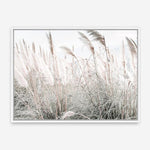 Shop Field of Pampas Grass Photo Canvas Print a coastal themed photography framed stretched canvas print from The Print Emporium wall artwork collection - Buy Australian made prints for the home and your interior decor space, TPE-912-CA-35X46-NF