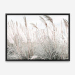 Shop Field of Pampas Grass Photo Canvas Print a coastal themed photography framed stretched canvas print from The Print Emporium wall artwork collection - Buy Australian made prints for the home and your interior decor space, TPE-912-CA-35X46-NF