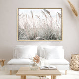Shop Field of Pampas Grass Photo Canvas Print a coastal themed photography framed stretched canvas print from The Print Emporium wall artwork collection - Buy Australian made prints for the home and your interior decor space, TPE-912-CA-35X46-NF
