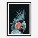 Shop Frankie The Palm Cockatoo Art Print a painted bird themed wall art print from The Print Emporium wall artwork collection - Buy Australian made fine art painting style poster and framed prints for the home and your interior decor room, TPE-217-AP