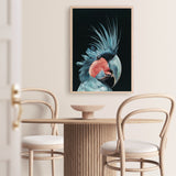 Shop Frankie The Palm Cockatoo Art Print a painted bird themed wall art print from The Print Emporium wall artwork collection - Buy Australian made fine art painting style poster and framed prints for the home and your interior decor room, TPE-217-AP