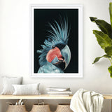 Shop Frankie The Palm Cockatoo Art Print a painted bird themed wall art print from The Print Emporium wall artwork collection - Buy Australian made fine art painting style poster and framed prints for the home and your interior decor room, TPE-217-AP