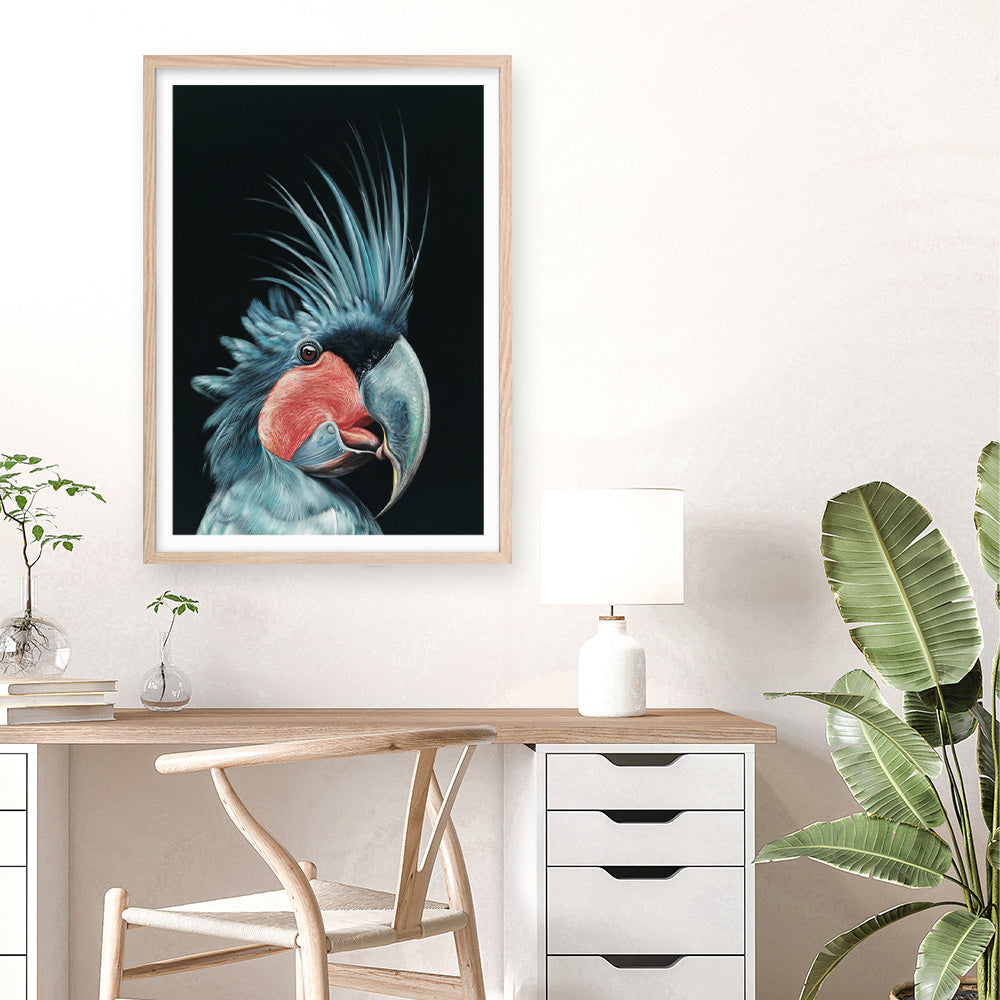 Shop Frankie The Palm Cockatoo Art Print a painted bird themed wall art print from The Print Emporium wall artwork collection - Buy Australian made fine art painting style poster and framed prints for the home and your interior decor room, TPE-217-AP