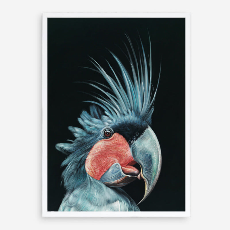 Shop Frankie The Palm Cockatoo Art Print a painted bird themed wall art print from The Print Emporium wall artwork collection - Buy Australian made fine art painting style poster and framed prints for the home and your interior decor room, TPE-217-AP