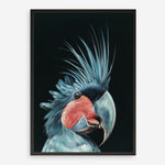 Shop Frankie The Palm Cockatoo Art Print a painted bird themed wall art print from The Print Emporium wall artwork collection - Buy Australian made fine art painting style poster and framed prints for the home and your interior decor room, TPE-217-AP