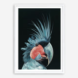 Shop Frankie The Palm Cockatoo Art Print a painted bird themed wall art print from The Print Emporium wall artwork collection - Buy Australian made fine art painting style poster and framed prints for the home and your interior decor room, TPE-217-AP