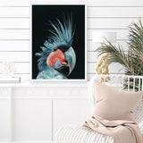 Shop Frankie The Palm Cockatoo Art Print a painted bird themed wall art print from The Print Emporium wall artwork collection - Buy Australian made fine art painting style poster and framed prints for the home and your interior decor room, TPE-217-AP