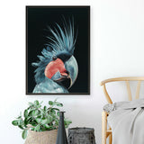 Shop Frankie The Palm Cockatoo Art Print a painted bird themed wall art print from The Print Emporium wall artwork collection - Buy Australian made fine art painting style poster and framed prints for the home and your interior decor room, TPE-217-AP