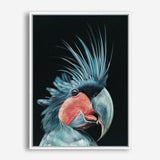 Shop Frankie The Palm Cockatoo Canvas Print a painted bird themed framed canvas wall art print from The Print Emporium artwork collection - Buy Australian made fine art painting style stretched canvas prints for the home and your interior decor space, TPE-217-CA-35X46-NF