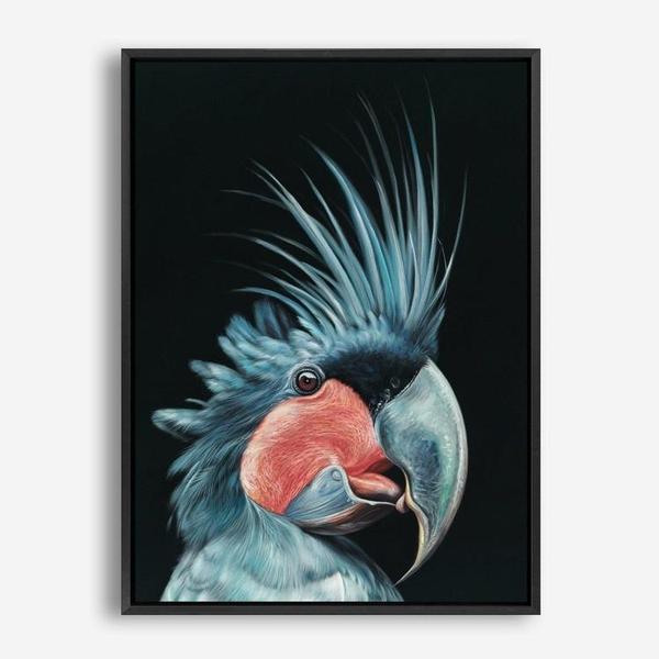 Shop Frankie The Palm Cockatoo Canvas Print a painted bird themed framed canvas wall art print from The Print Emporium artwork collection - Buy Australian made fine art painting style stretched canvas prints for the home and your interior decor space, TPE-217-CA-35X46-NF