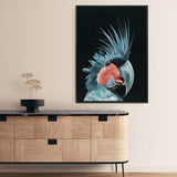 Shop Frankie The Palm Cockatoo Canvas Print a painted bird themed framed canvas wall art print from The Print Emporium artwork collection - Buy Australian made fine art painting style stretched canvas prints for the home and your interior decor space, TPE-217-CA-35X46-NF