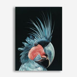 Shop Frankie The Palm Cockatoo Canvas Print a painted bird themed framed canvas wall art print from The Print Emporium artwork collection - Buy Australian made fine art painting style stretched canvas prints for the home and your interior decor space, TPE-217-CA-35X46-NF