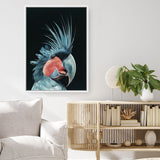 Shop Frankie The Palm Cockatoo Canvas Print a painted bird themed framed canvas wall art print from The Print Emporium artwork collection - Buy Australian made fine art painting style stretched canvas prints for the home and your interior decor space, TPE-217-CA-35X46-NF