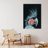Shop Frankie The Palm Cockatoo Canvas Print a painted bird themed framed canvas wall art print from The Print Emporium artwork collection - Buy Australian made fine art painting style stretched canvas prints for the home and your interior decor space, TPE-217-CA-35X46-NF