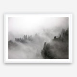 Shop Frosty Forest I Photo Art Print a photography wall art print from The Print Emporium wall artwork collection - Buy Australian made fine art poster and framed prints for the home and your interior decor room, TPE-100-AP