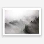 Shop Frosty Forest I Photo Art Print a photography wall art print from The Print Emporium wall artwork collection - Buy Australian made fine art poster and framed prints for the home and your interior decor room, TPE-100-AP